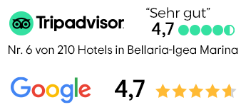 Tripadvisor - Google